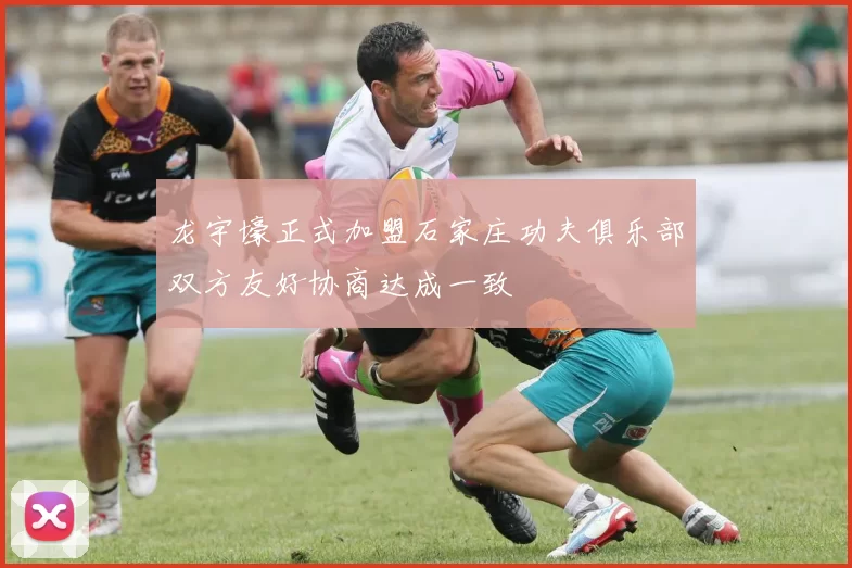 龙宇壕正式加盟石家庄功夫俱乐部双方友好协商达成一致