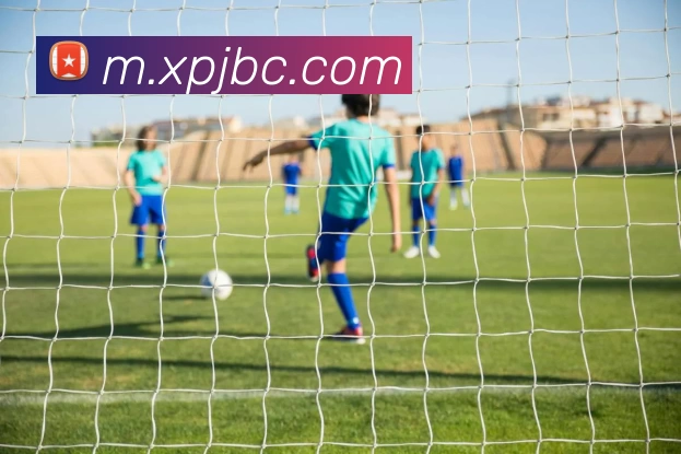 新葡京博彩官网平台生态图