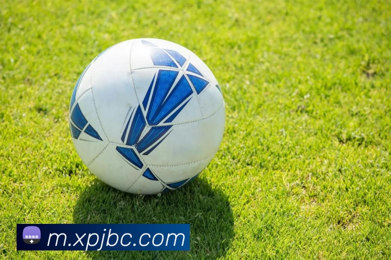 新葡京博彩官网全站App